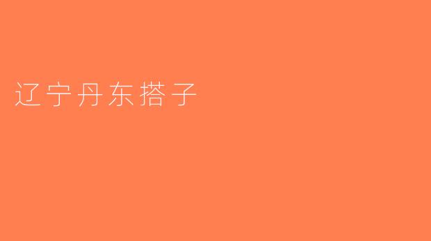 辽宁丹东搭子