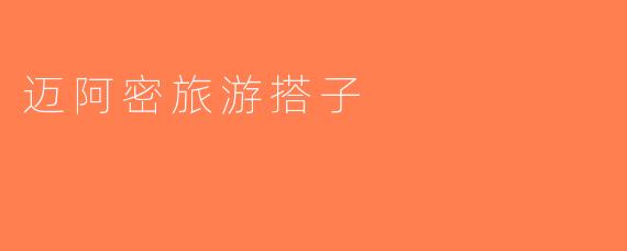 迈阿密旅游搭子