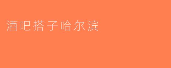 酒吧搭子哈尔滨