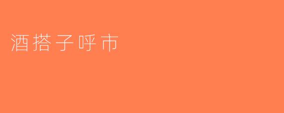 酒搭子呼市