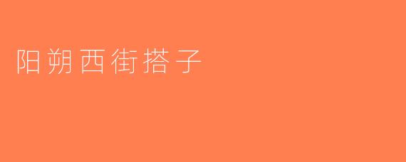 阳朔西街搭子