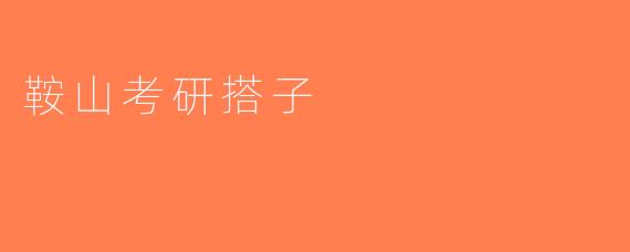 鞍山考研搭子