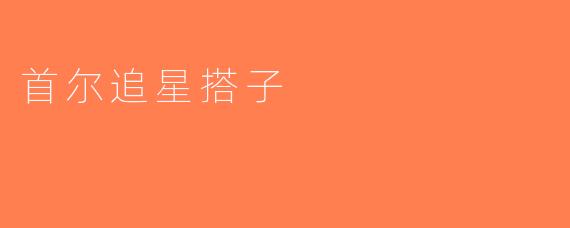 首尔追星搭子