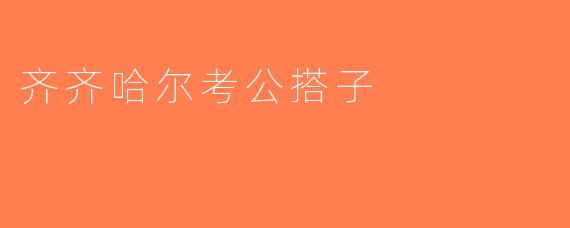 齐齐哈尔考公搭子