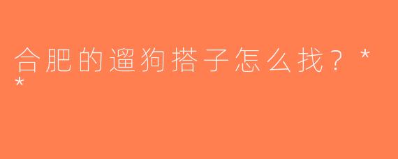 合肥的遛狗搭子怎么找？**  