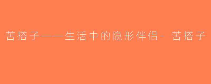 苦搭子——生活中的隐形伴侣-苦搭子