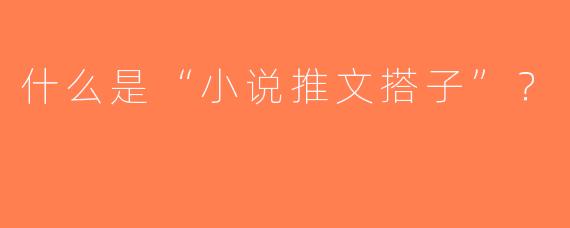 什么是“小说推文搭子”？  
