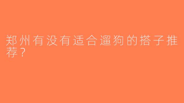 郑州有没有适合遛狗的搭子推荐？