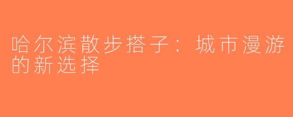 哈尔滨散步搭子：城市漫游的新选择