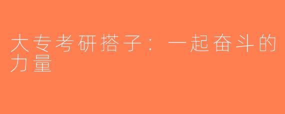 大专考研搭子：一起奋斗的力量