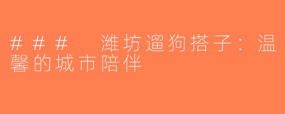 ### 潍坊遛狗搭子：温馨的城市陪伴
