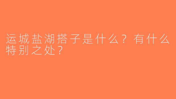 运城盐湖搭子是什么？有什么特别之处？