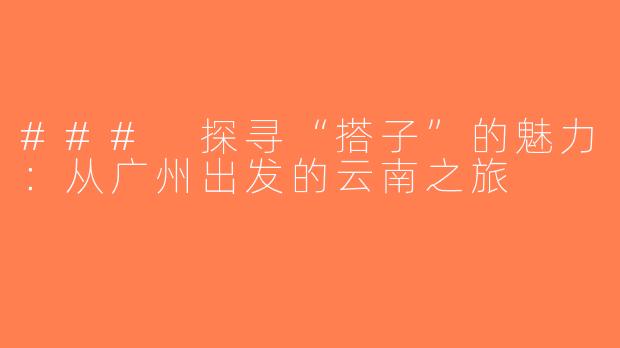 ### 探寻“搭子”的魅力：从广州出发的云南之旅