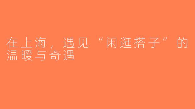 在上海，遇见“闲逛搭子”的温暖与奇遇
