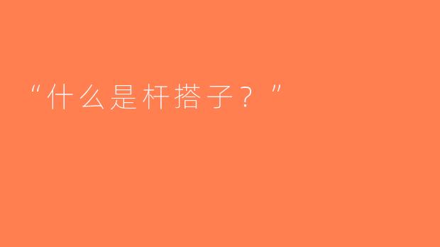 “什么是杆搭子？”