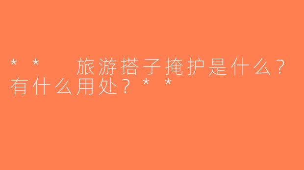 ** 旅游搭子掩护是什么？有什么用处？**
