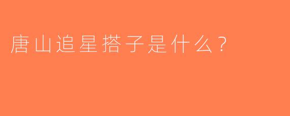 唐山追星搭子是什么？