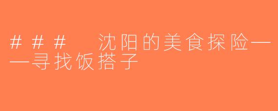 ### 沈阳的美食探险——寻找饭搭子