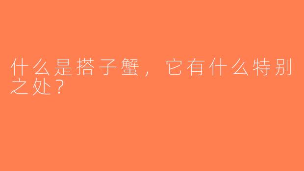 什么是搭子蟹，它有什么特别之处？