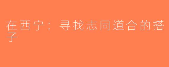 在西宁：寻找志同道合的搭子