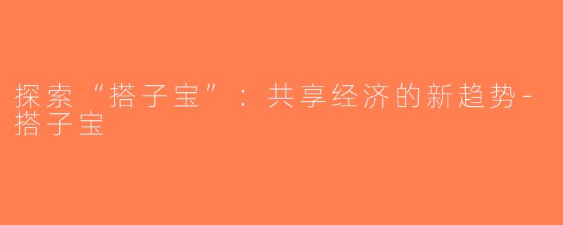 探索“搭子宝”：共享经济的新趋势-搭子宝