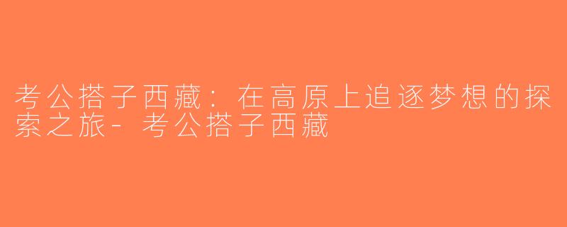 考公搭子西藏：在高原上追逐梦想的探索之旅-考公搭子西藏