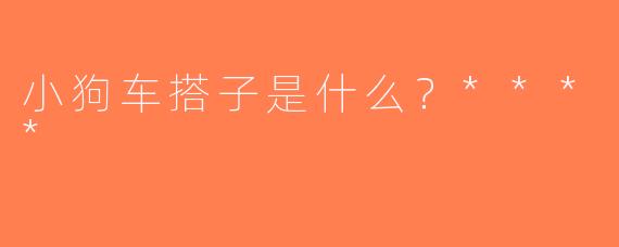小狗车搭子是什么？****