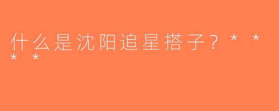 什么是沈阳追星搭子？****