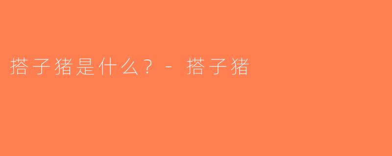 搭子猪是什么？-搭子猪
