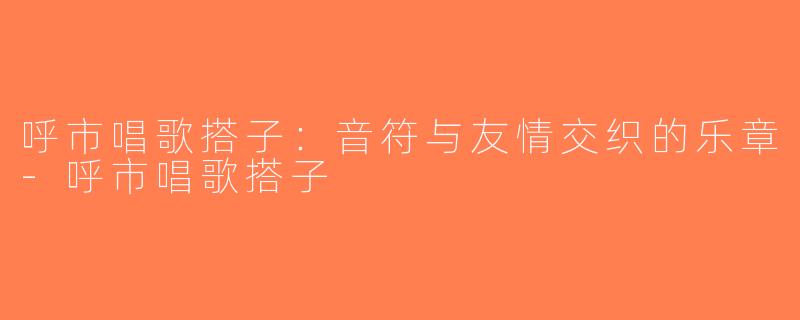 呼市唱歌搭子：音符与友情交织的乐章-呼市唱歌搭子