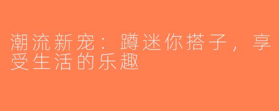 潮流新宠：蹲迷你搭子，享受生活的乐趣