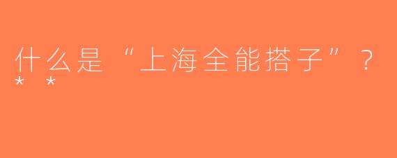 什么是“上海全能搭子”？**