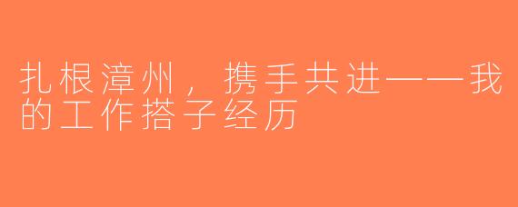 扎根漳州，携手共进——我的工作搭子经历