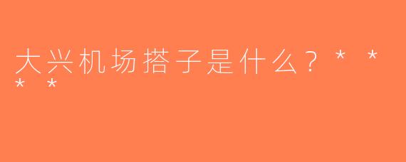 大兴机场搭子是什么？****