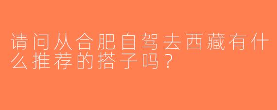 请问从合肥自驾去西藏有什么推荐的搭子吗？