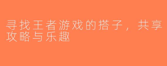 寻找王者游戏的搭子，共享攻略与乐趣