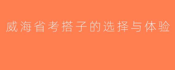 威海省考搭子的选择与体验