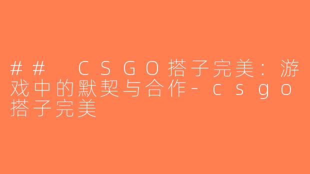 ## CSGO搭子完美：游戏中的默契与合作-csgo搭子完美