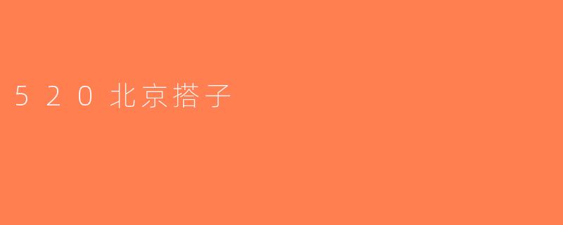 520北京搭子
