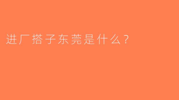 进厂搭子东莞是什么？