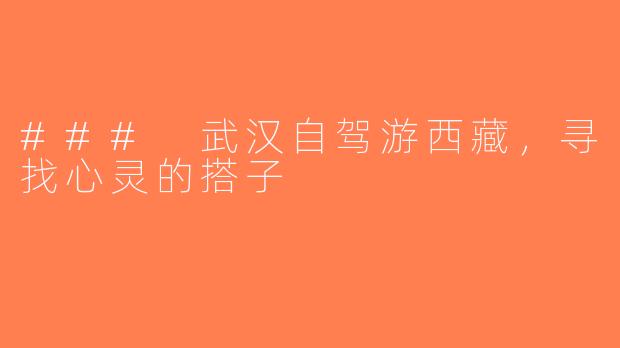 ### 武汉自驾游西藏，寻找心灵的搭子