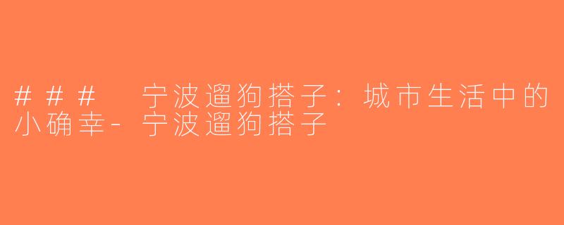 ### 宁波遛狗搭子：城市生活中的小确幸-宁波遛狗搭子