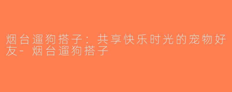 烟台遛狗搭子：共享快乐时光的宠物好友-烟台遛狗搭子