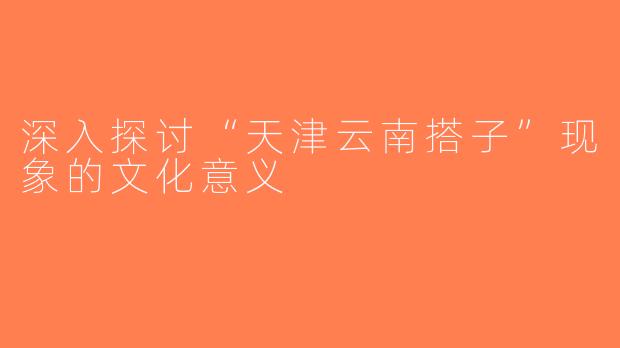 深入探讨“天津云南搭子”现象的文化意义