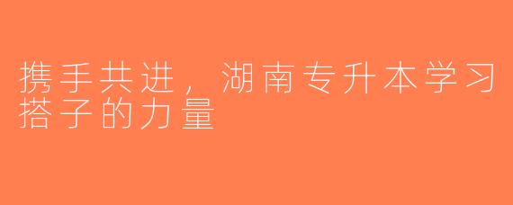 携手共进，湖南专升本学习搭子的力量