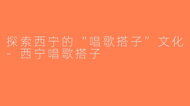 探索西宁的“唱歌搭子”文化-西宁唱歌搭子