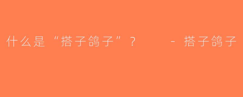 什么是“搭子鸽子”？  -搭子鸽子