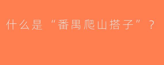 什么是“番禺爬山搭子”？  