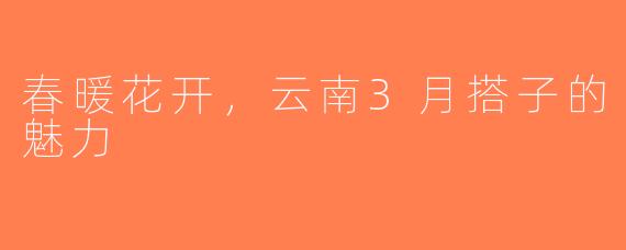 春暖花开，云南3月搭子的魅力