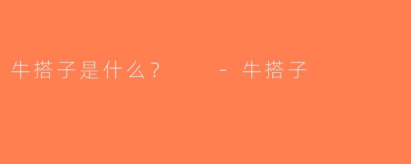 牛搭子是什么？  -牛搭子
